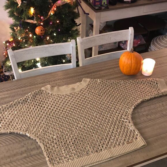 Sparkle ❇️ and Shine ✨ in this Sequins Sweater. Neutral All Season Fall 2 Cruise - Picture 1 of 16